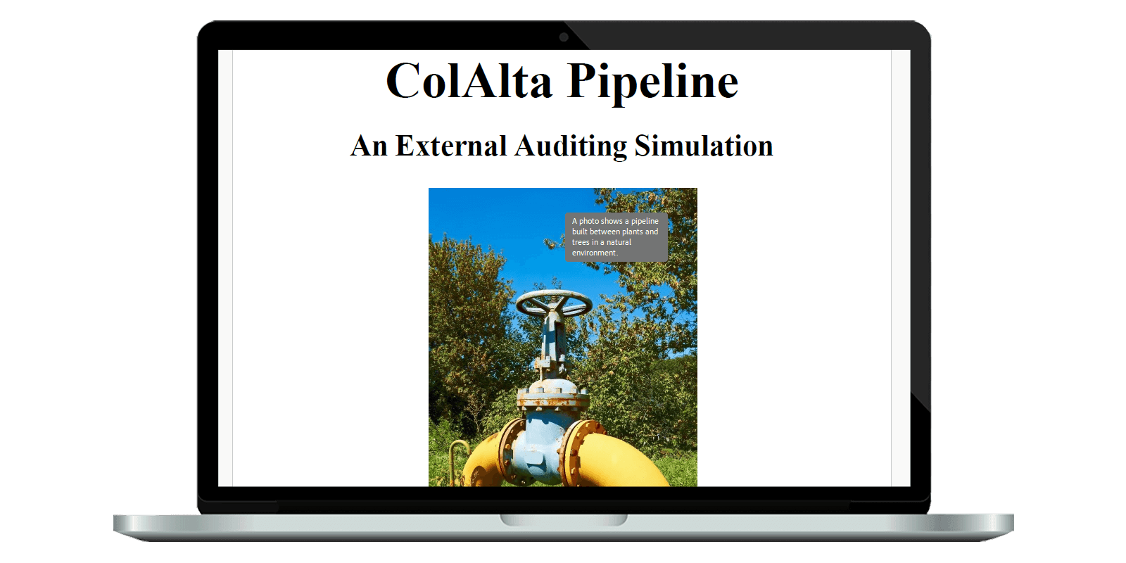 Auditing Simulation Laptop