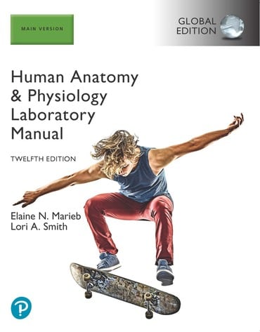 Human Anatomy & Physiology Laboratory Manual, Main Version, Global Edition, 12th edition