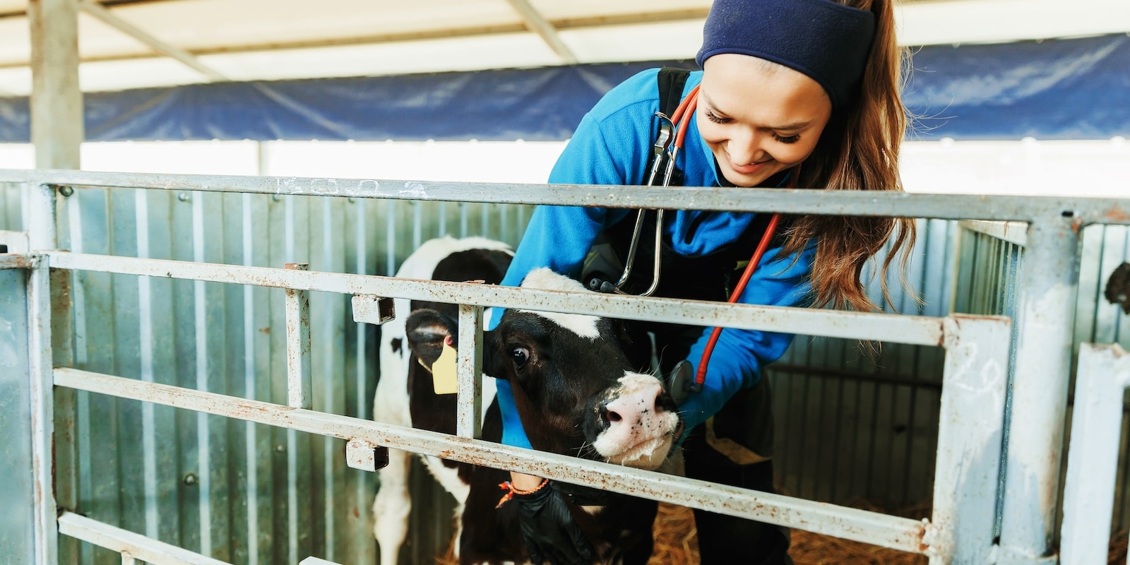 Land-based banner image