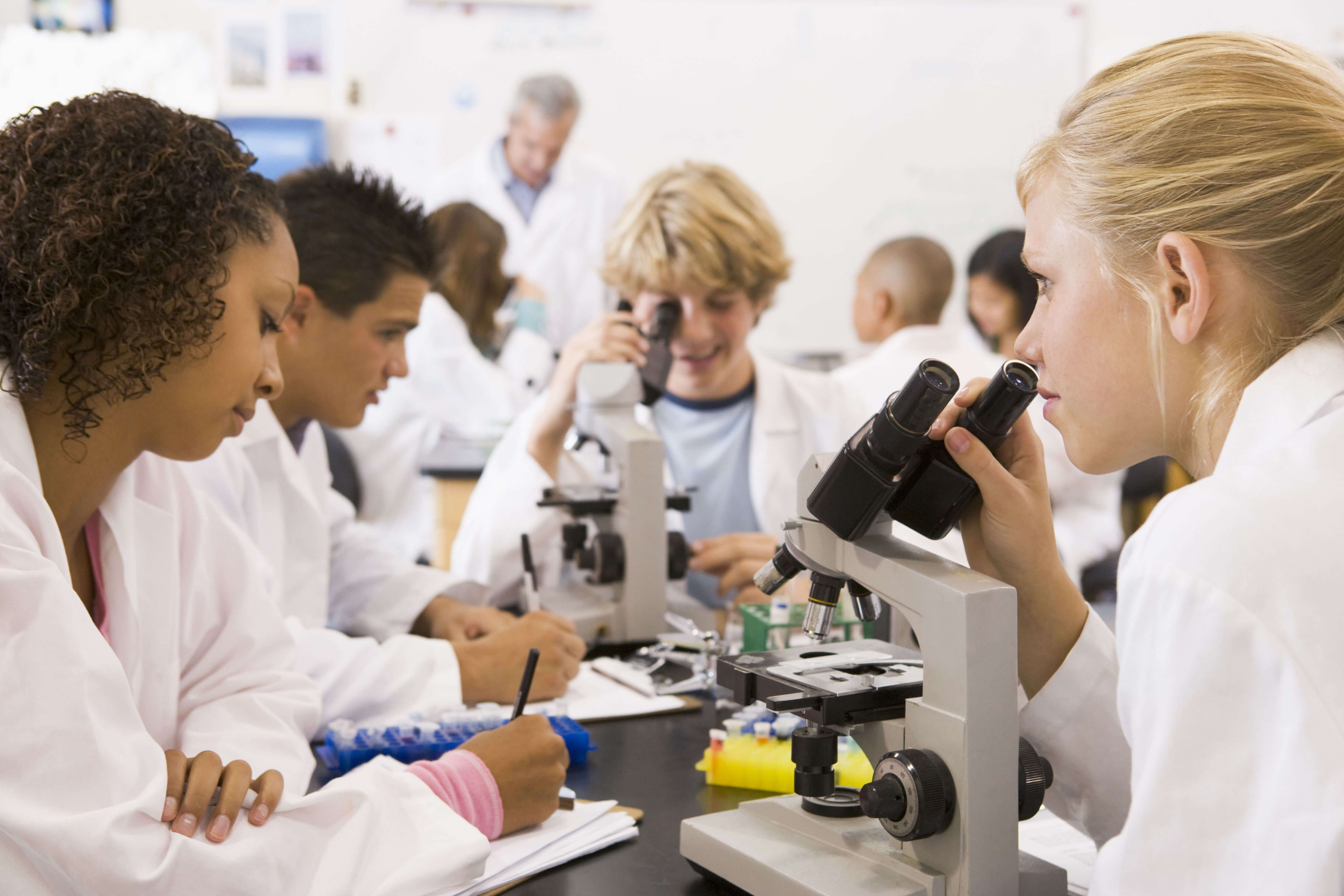 Pupils using microscopes