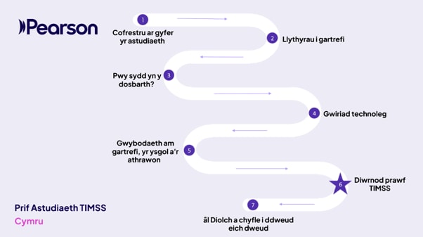 TIMSS 2027 Field Trial: Wales Roadmap