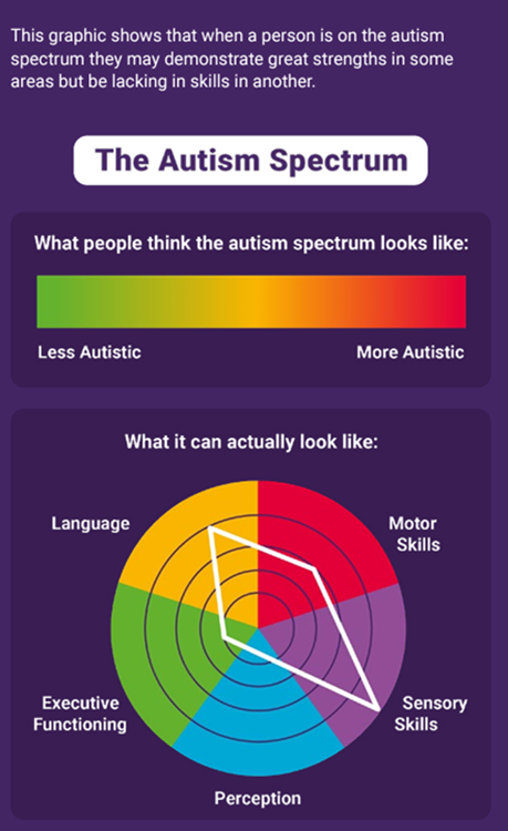 Graphic showing what the autism spectrum can look like