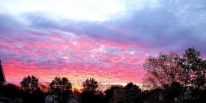 A sunrise scene with bright pink and blue clouds over the treetops.