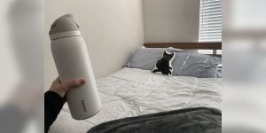 A person’s hand holding a white reusable water bottle in front of a made bed with a black cat throw pillow.