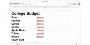 A screenshot of a Google Sheet listing college expenses and ‘Help Me!!” at the end of the list.