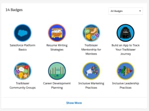 A screenshot of eight digital badge examples for topics related to career development and leadership.
