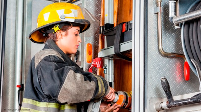 Link to Public services and security