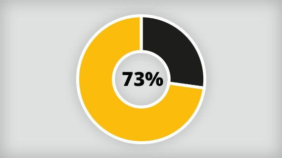 A donut graph shaded to represent 73%