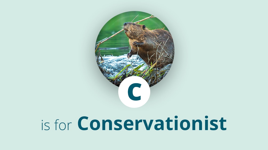 C is for Conservationist