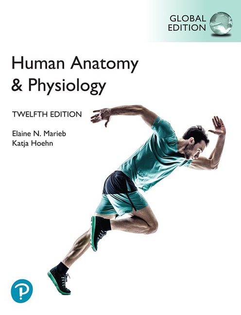 Human Anatomy & Physiology, Global Edition - Cover Image
