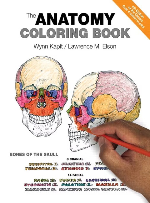 The Anatomy Coloring - Cover Image