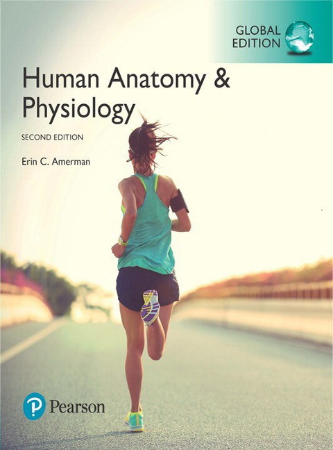 Human Anatomy & Physiology, Global Edition - Cover Image