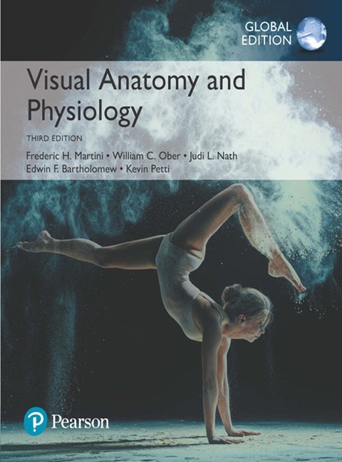 Visual Anatomy & Physiology, Global Edition - Cover Image