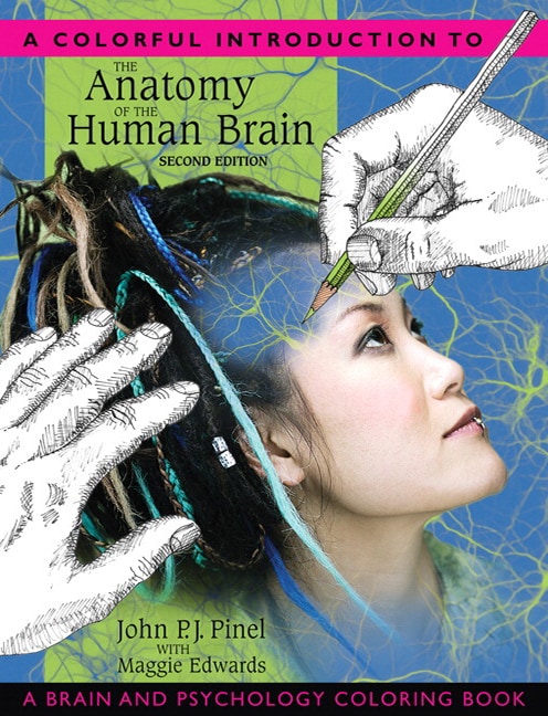 Colorful Introduction to the Anatomy of the Human Brain - Cover Image