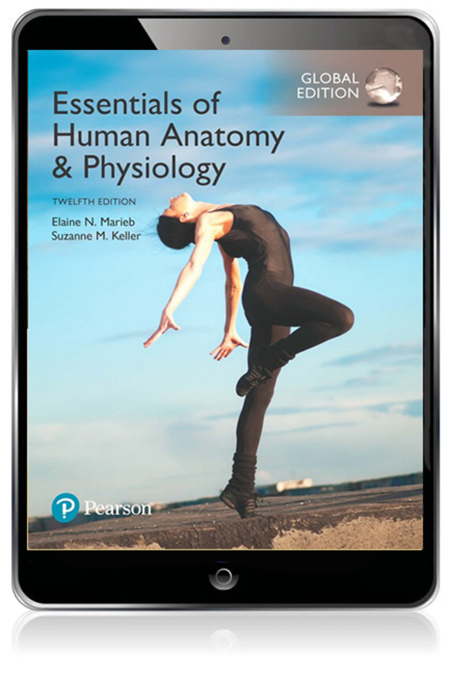Essentials of Human Anatomy & Physiology, eBook, Global Edition