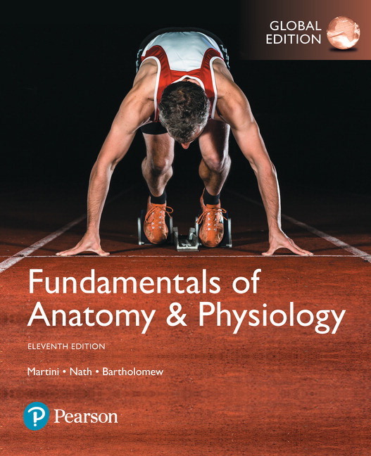 Fundamentals of Anatomy & Physiology, eBook, Global Edition