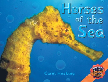 Rigby Literacy Collections Level 4 Phase 5: Horses of the Sea (Reading Level 29-30/F&P Levels T-U)