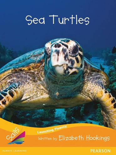Sails Fluency Orange Set 2: Sea Turtles