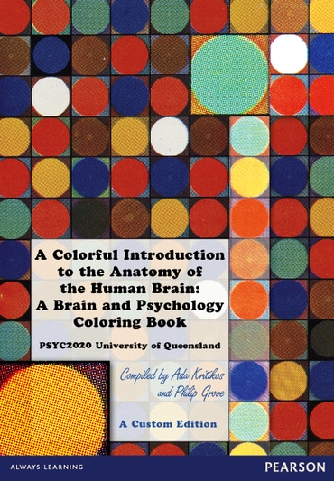 A Colorful Introduction to the Anatomy of the Human Brain: A Brain and Psychology Coloring Book (Custom Edition)
