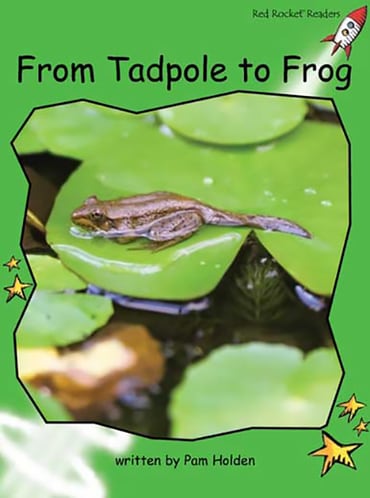 Red Rocket Readers: Early Level 4 Non-Fiction Set C: From Tadpole to Frog Big Book Edition (Reading Level 12/F&P Level H)