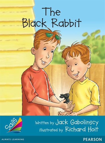 Sails Fluency Turquoise: The Black Rabbit