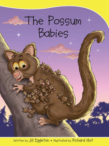Sails Take-Home Library 2 (Early Green): The Possum Babies