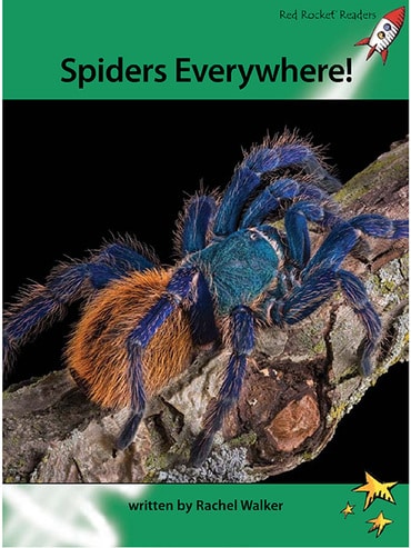 Red Rocket Readers: Advanced Fluency 2 Non-Fiction Set A: Spiders Everywhere! (Reading Level 26/F&P Level Q)