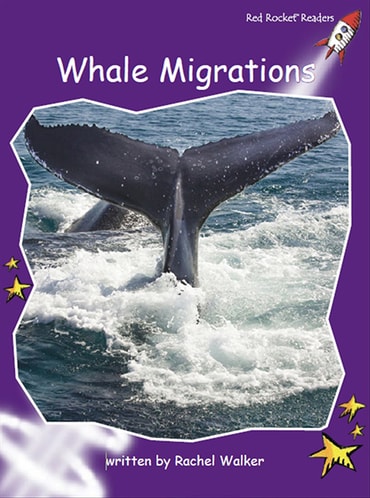 Red Rocket Readers: Fluency Level 3 Non-Fiction Set C: Whale Migrations (Reading Level 18/F&P Level M)