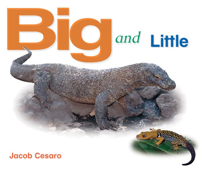 Rigby Literacy Emergent Level 4: Big and Little (Reading Level 3/F&P Level C)