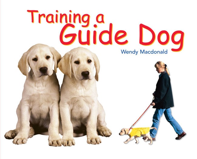 Rigby Literacy Fluent Level 2: Training A Guide Dog (Reading Level 15/F&P Level I)
