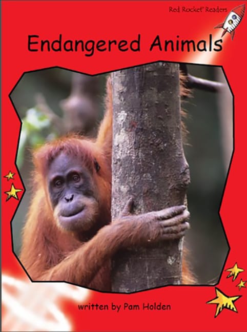 Red Rocket Readers: Early Level 1 Non-Fiction Set C: Endangered Animals Big Book Edition (Reading Level 3/F&P Level C)