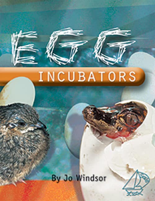 MainSails 2 (Ages10-11): Egg Incubators