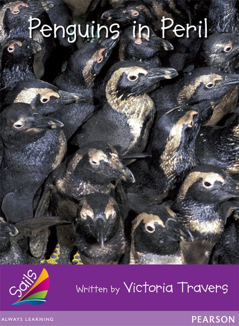 Sails Fluency Purple: Penguins in Peril