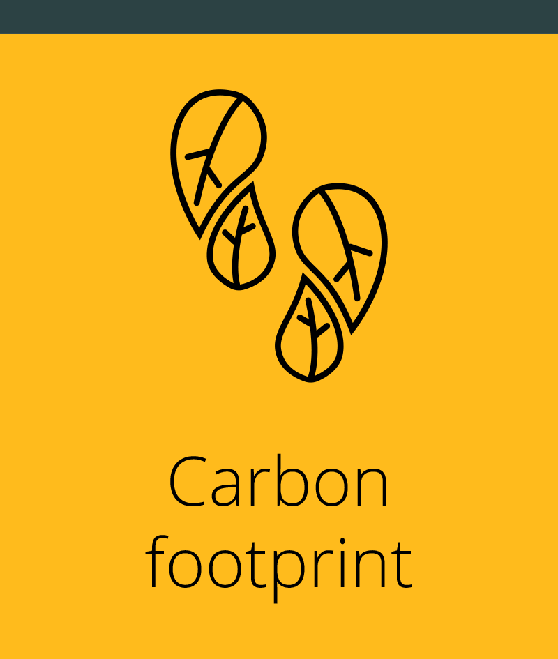 Carbon footprint image
