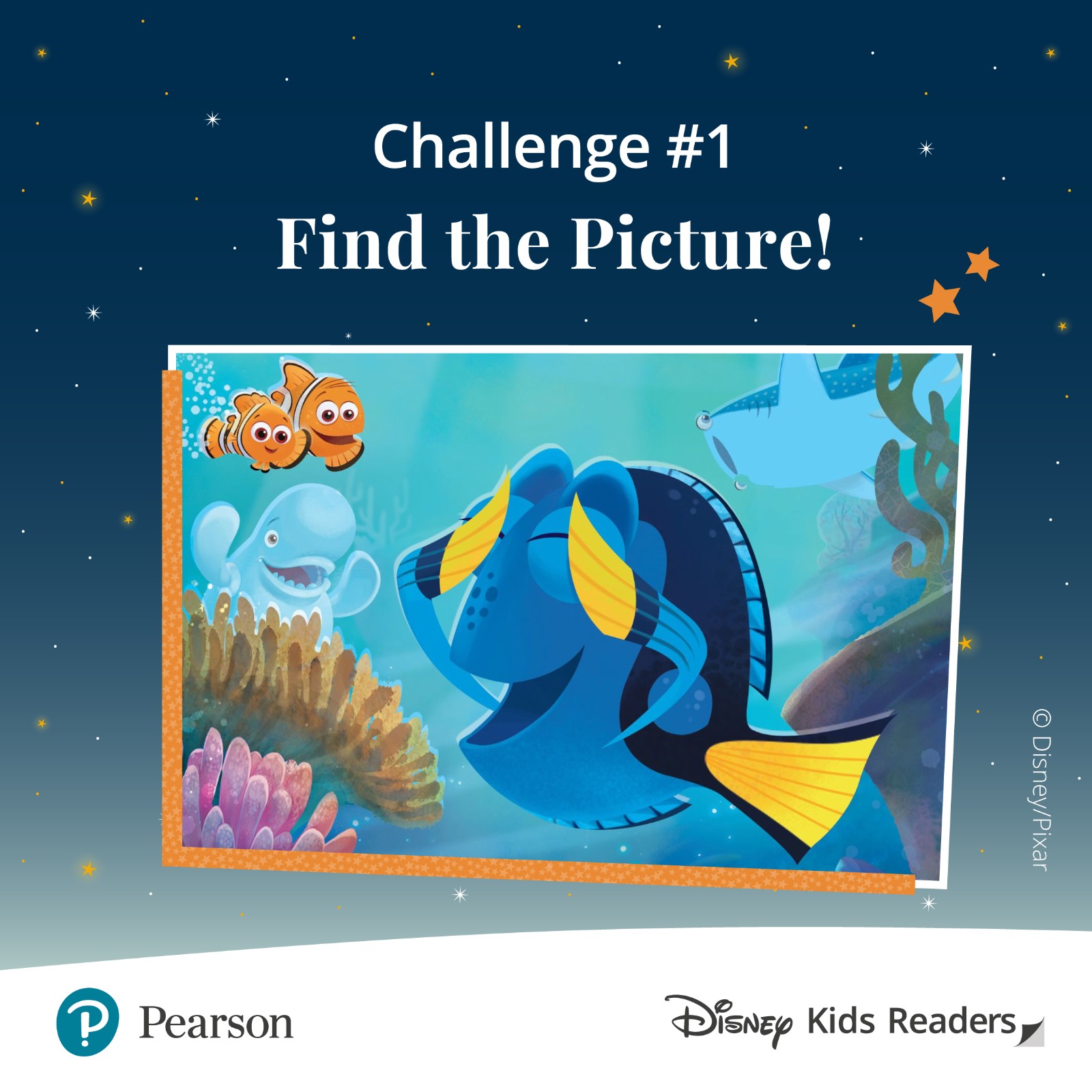 Dory Disney character, Challenge #1 'Find the picture!'