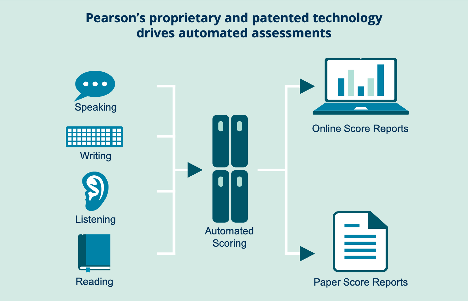 Versant technology infographic, showing speaking, writing, listening  and reading tests going through automated scoring to produce online and paper score reports
