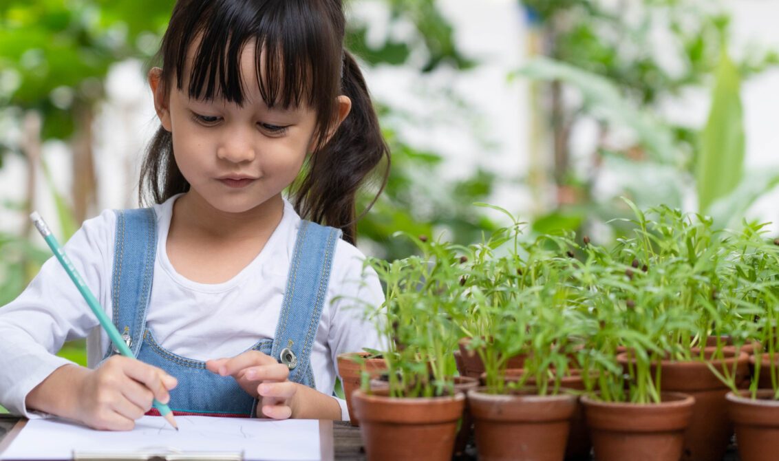 The power of play: primary science experiments