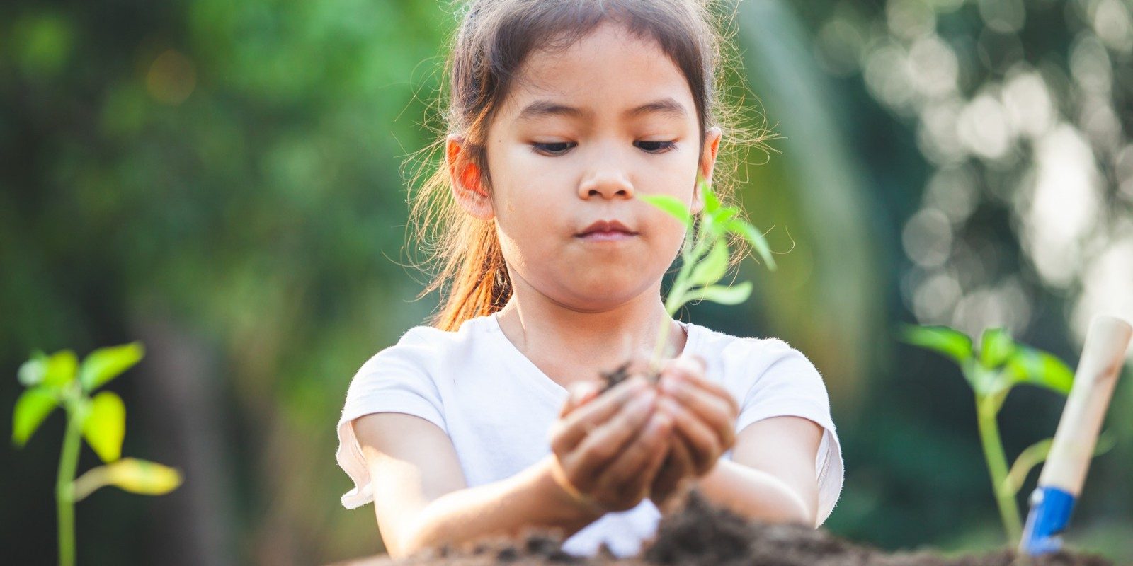 4 ways to make your own greenhouse classes