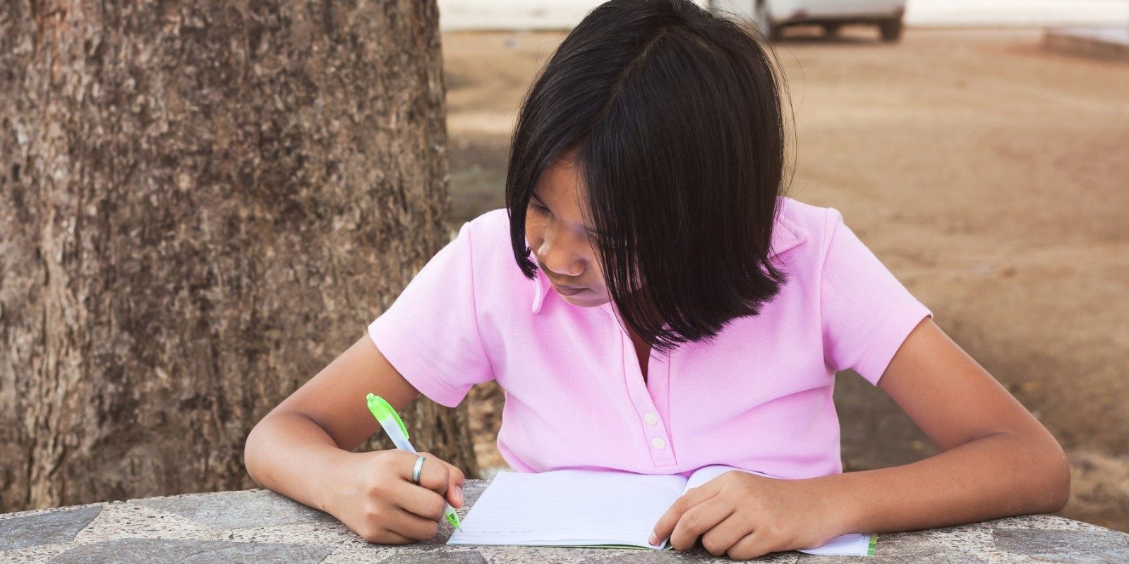 Growing a school of extraordinary writers: progression in writing