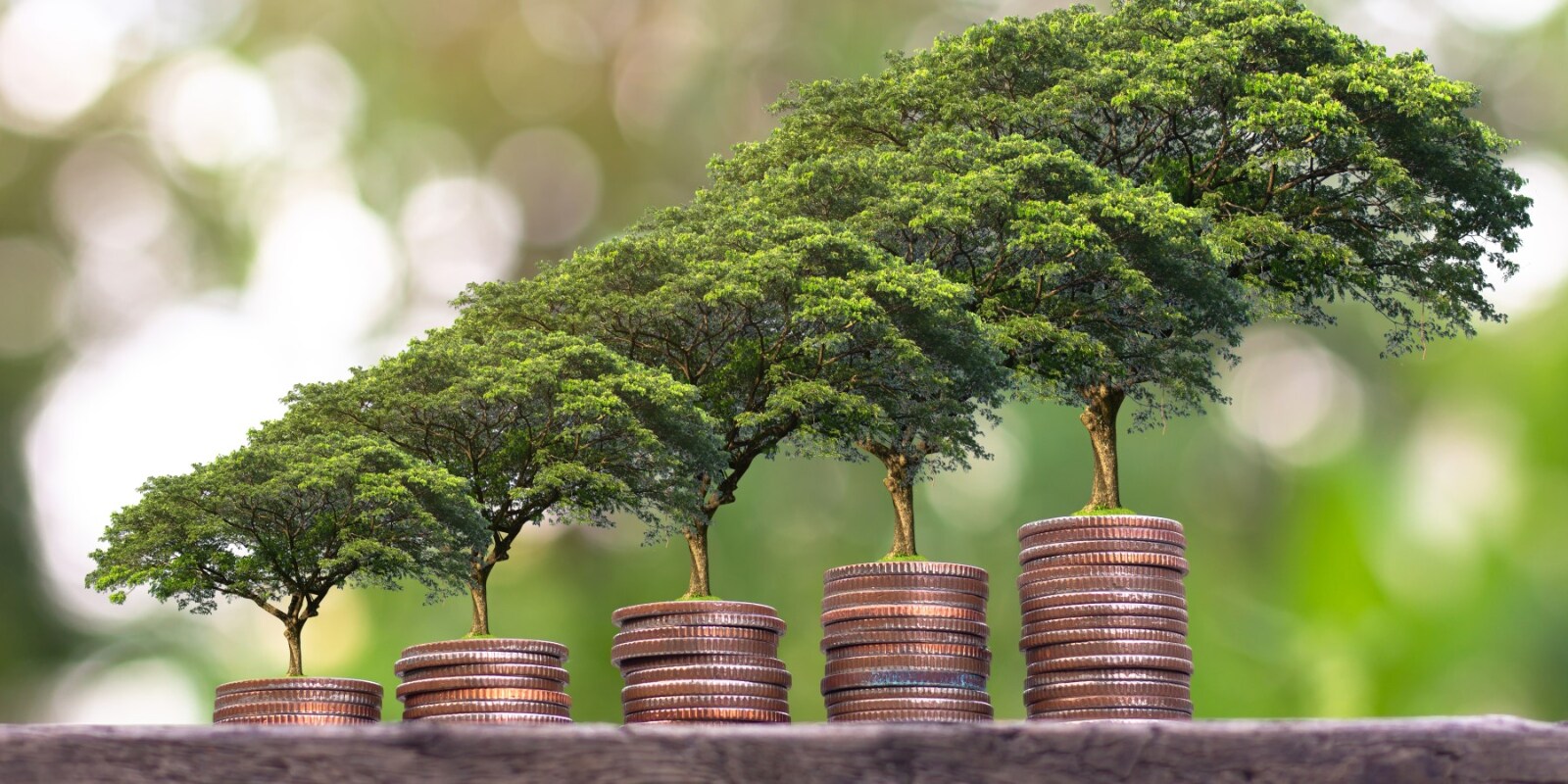 What might a revisioning of education look like?