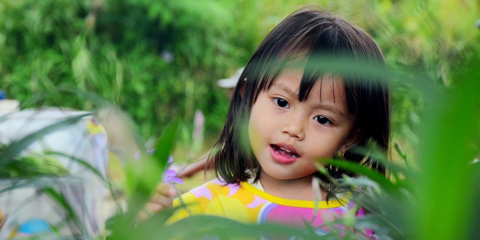 Combatting screen fatigue: helping your students connect with nature