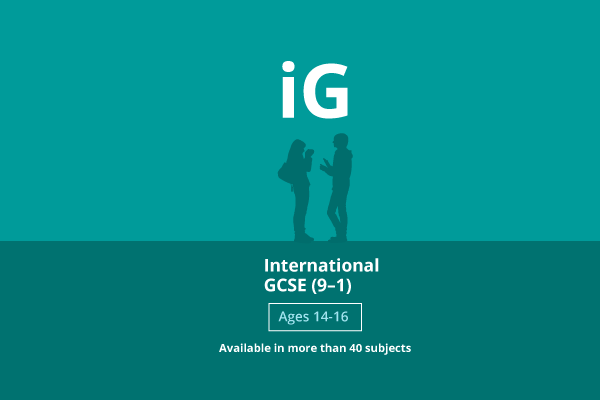 International GCSE banner 