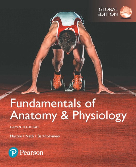 <img alt="Fundamentals of Anatomy & Physiology, 11th Global Edition. Frederic H. Martini, Judi L. Nath and Edwin F. Bartholomew">