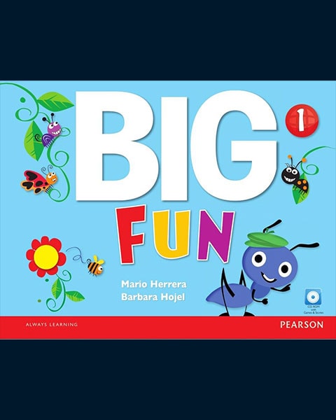 Big Fun book cover