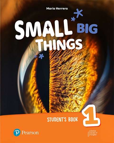 Small Big Things book cover