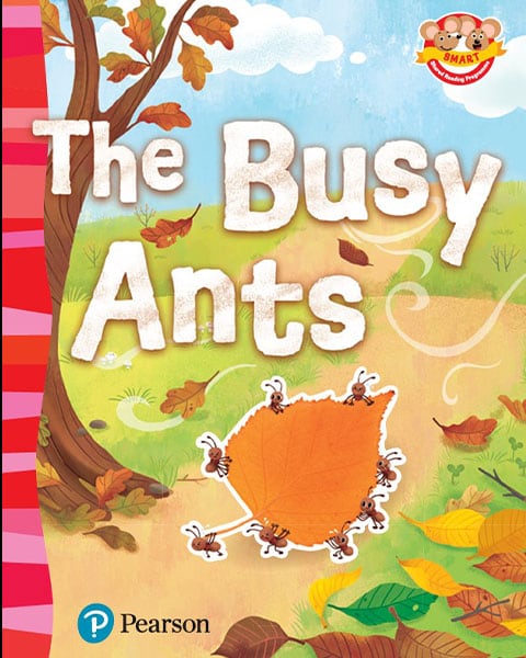 Pre-school Reading Programme Smart Mice book cover