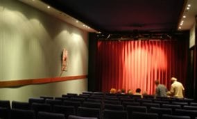 Working for a theatre company - link to case study