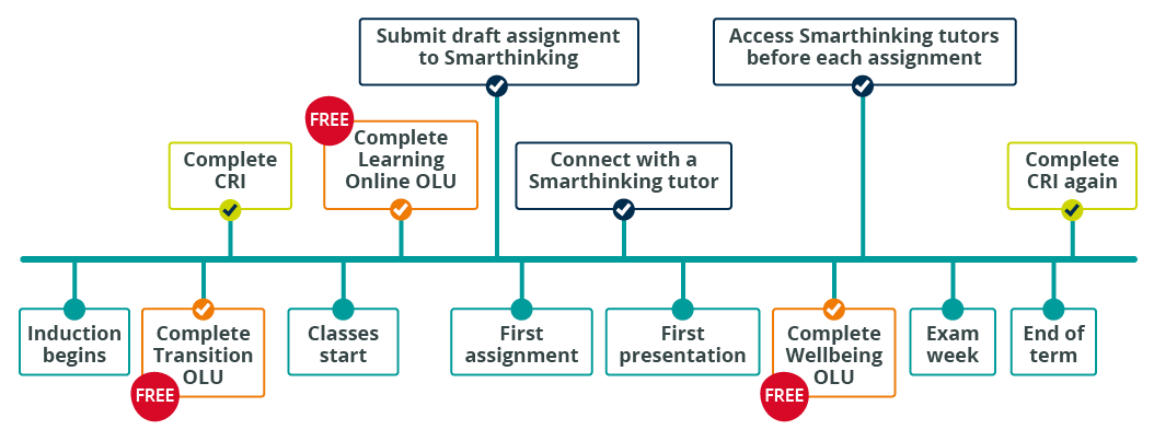 Access and Success timeline