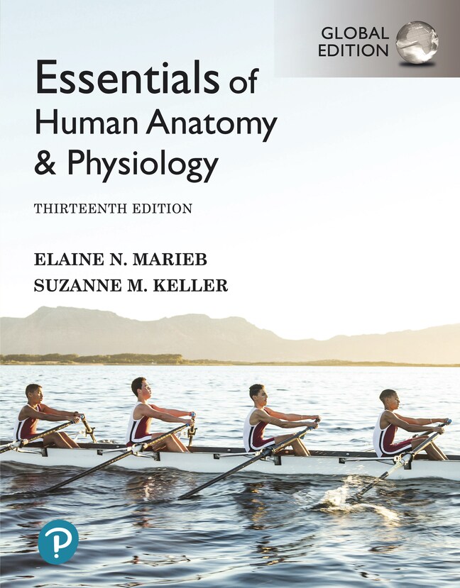 Essentials of Human Anatomy & Physiology, Global Edition, 13th Edition