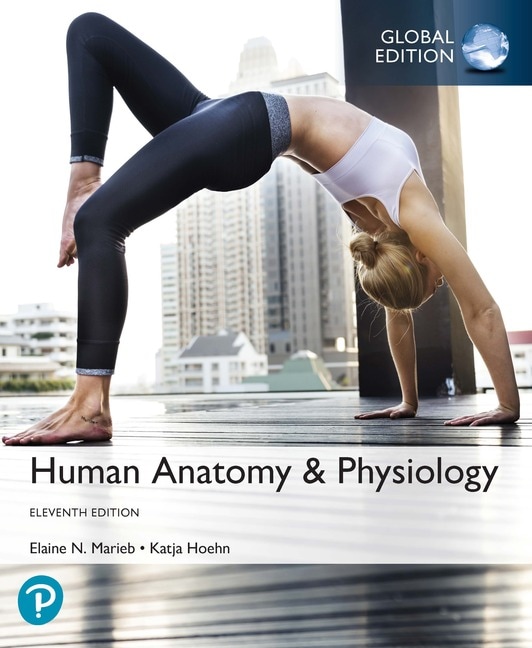Human Anatomy & Physiology, Global Edition, 11th Edition